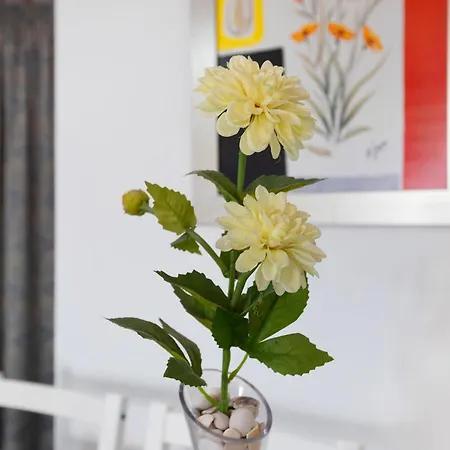 Don Juan Manuel トレモリノス